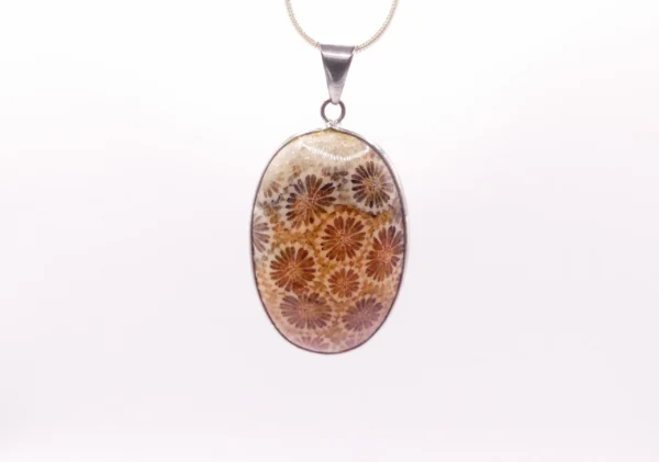 Fossilized Coral 925 Necklace