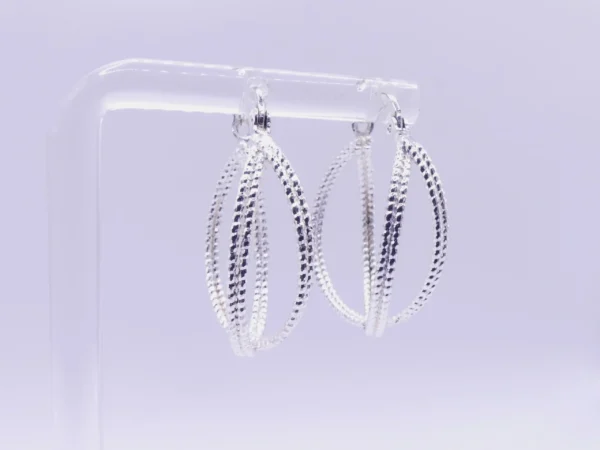 Double Hoop Sterling Earrings